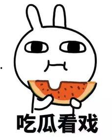 娱乐圈吃瓜沙雕动画,沙雕动画中的吃瓜盛宴,笑料百出!